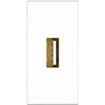 Kindermann Konnect flex 45 click - Faceplate modular Snap-In - USB 2.0 Type-A - Blanco, RAL 9010