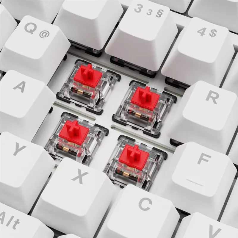 Sharkoon SGK25 75% QWERTZ USB Teclado con cable RGB LED blanco