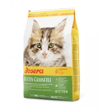 Pienso seco para gatos Josera Kitten Ave 2 kg