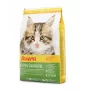Pienso seco para gatos Josera Kitten Ave 2 kg