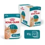 Comida húmeda para gatos Royal Canin FHN Ageing 11+ Gravy 12×85 g – comida húmeda completa para senior en bandejas
