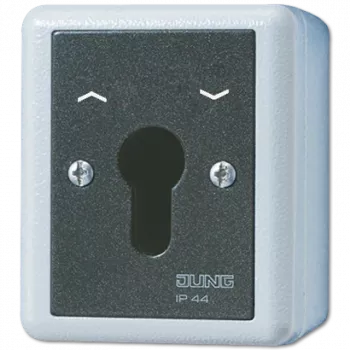 JUNG 834.28G Interruptor eléctrico interruptor de llave negro - blanco (834.28G)