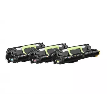 Unidad de revelado Lexmark CS820 CX8xx 300.000 páginas