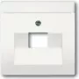 Busch Jaeger 1710-0-3889 Placa de pared/Tapa de interruptor Blanco (1710-0-3889)