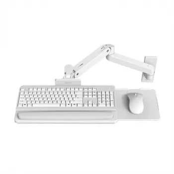 Ergotron LX Pro - bandeja de teclado/ratón con soporte de brazo (45-685-290)