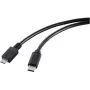 Renkforce RF-5720396 Cable USB Negro