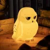 Lámpara de mesa Paladone Hedwig Light V3 – lámpara LED de noche con forma de búho Hedwig