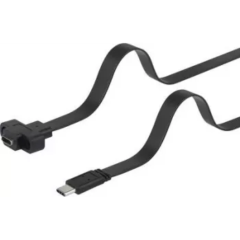 Cable USB Renkforce RF-3415030 0,25 m 3.2 Gen 1 (3.1 Gen 1) USB C negro (RF-3415030)