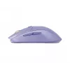Ratón Steelseries 62525 RF Wireless + Bluetooth