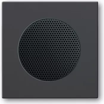 BUSCH JAEGER 2CKA008200A0078 - negro - cuadrado - 8223 U - 63 mm - 63 mm