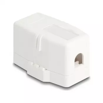 Delock 85841 Carcasa Keystone vacía, 1 puerto, base magnética, blanco