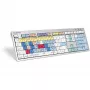 Teclado Logickeyboard ALBA Universal USB AZERTY Francés Plata