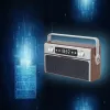 Radio portátil MANTA RDI917PRO con Bluetooth y reproducción USB