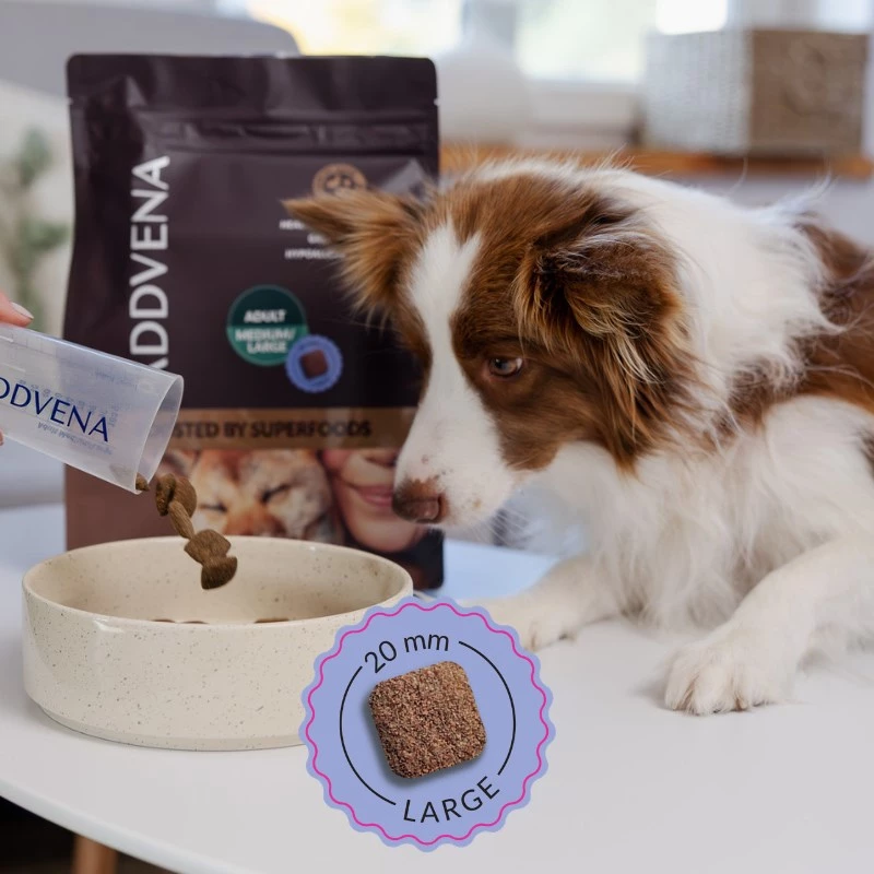 ADDVENA Boosted by superfoods Adult Medium/Large Beef - pienso seco para perros - 2,5 kg