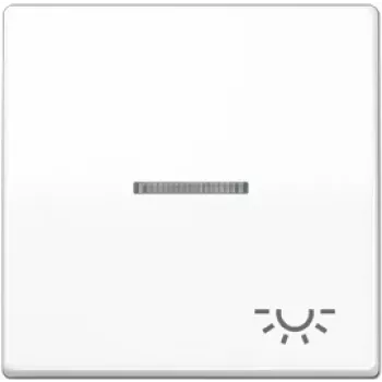 Módulo interruptor de pared JUNG AS 591 KO5L WW blanco — de una pieza, superficie blanca