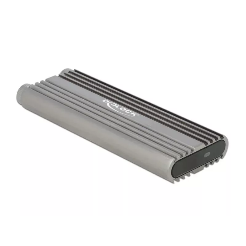 Carcasa para SSD DeLOCK 42001 plateada M.2