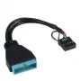 Cable USB interno Inter-Tech 88885217