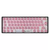 White Shark Roserift interruptores mecánicos para teclado, 65 uds.