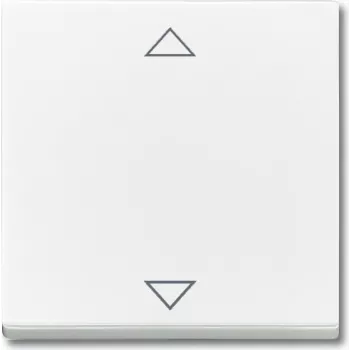 BUSCH JAEGER 6430-0-0329 - oscilante - blanco - 63 mm - 63 mm - 1 ud.