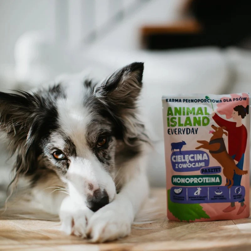ANIMAL ISLAND Everyday Monoproteico ternera - comida húmeda para perros - 300g