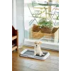 Bandeja higiénica para perros/gatos ZOLUX bandeja abierta para gatos negro, gris