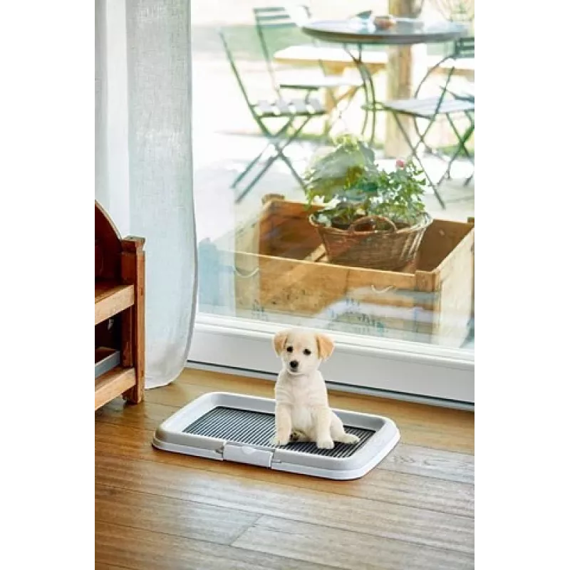 Bandeja higiénica para perros/gatos ZOLUX bandeja abierta para gatos negro, gris