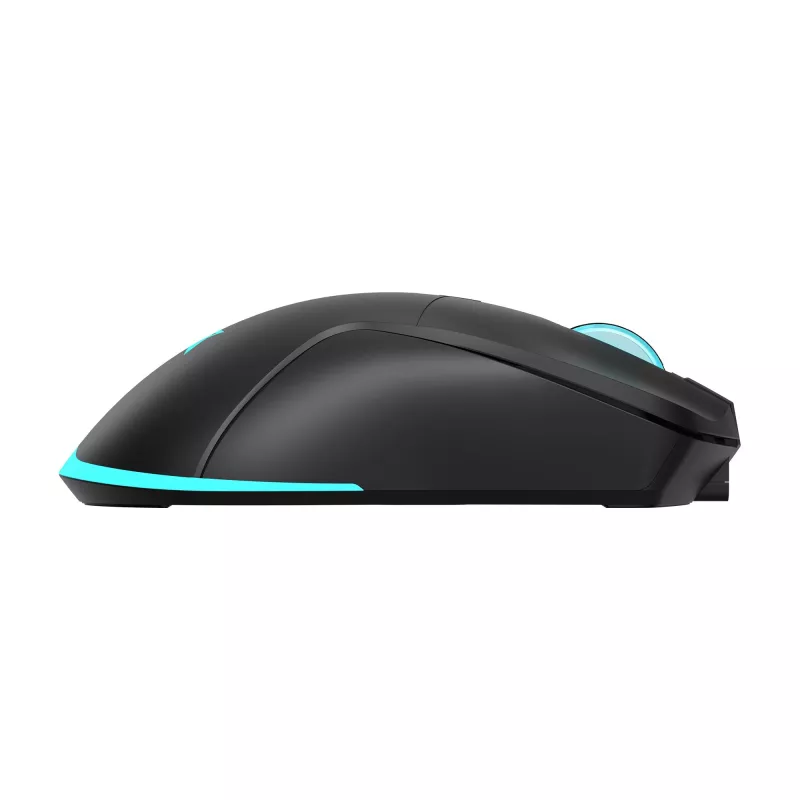 Ratón Baracuda BGM-121 Turtle negro USB
