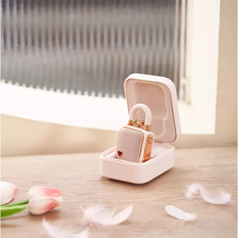 Altavoz portátil mono Divoom LoveLock rosa