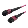 Latiguillo de fibra óptica MTP hembra OM4 LowLoss(ELite), 12 fibras, tipo B cruzado, heather violeta, 7,5 m, Synergy 21 (S216790)