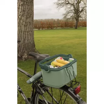 Nevera portátil Curver 261196, 10 L, verde, polipropileno, sin BPA, 1,13 kg, asa