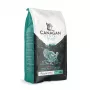Canagan pienso seco para gatos Dental 1,5 kg