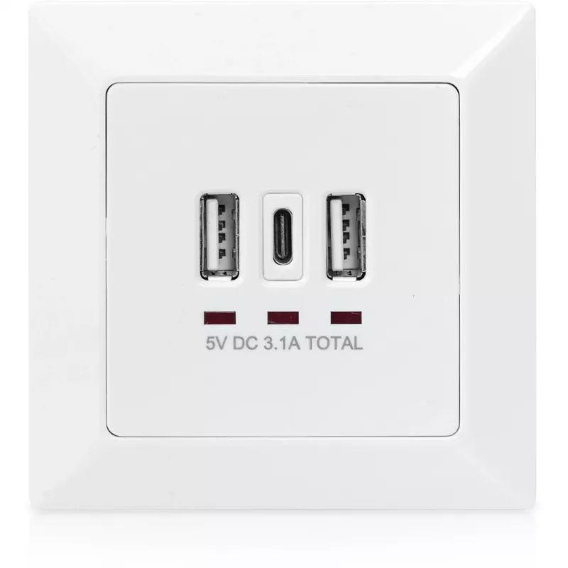 DIGITUS DA-70618 - salida USB - USB, USB Type C - 2 puertos USB, 1 conector hembra USB-C - 3,1 A - RAL 9003, blanco señal