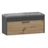 Zapatero cerrado Top e Shop PARMA — antracita y roble, tablero de partículas, 1000×490×350 mm