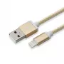 Sbox USB 2.0 8 Pin IPH7-G dorado