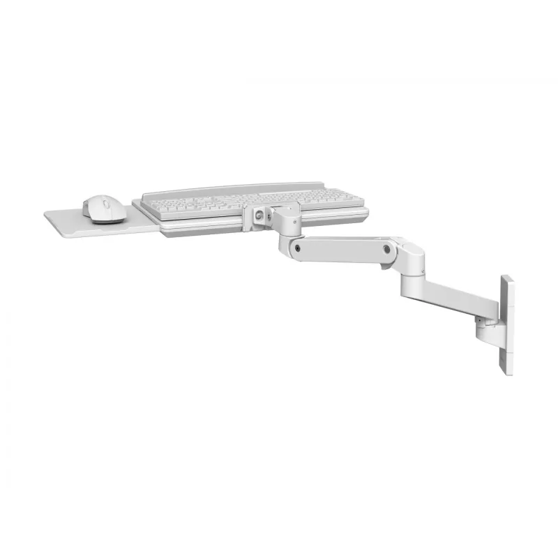 Ergotron LX Pro - bandeja de teclado/ratón con soporte de brazo (45-685-290)