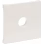 Legrand SEANO Placa embellecedora 765165 para toma de conexión tipo F en la 5 (765165)
