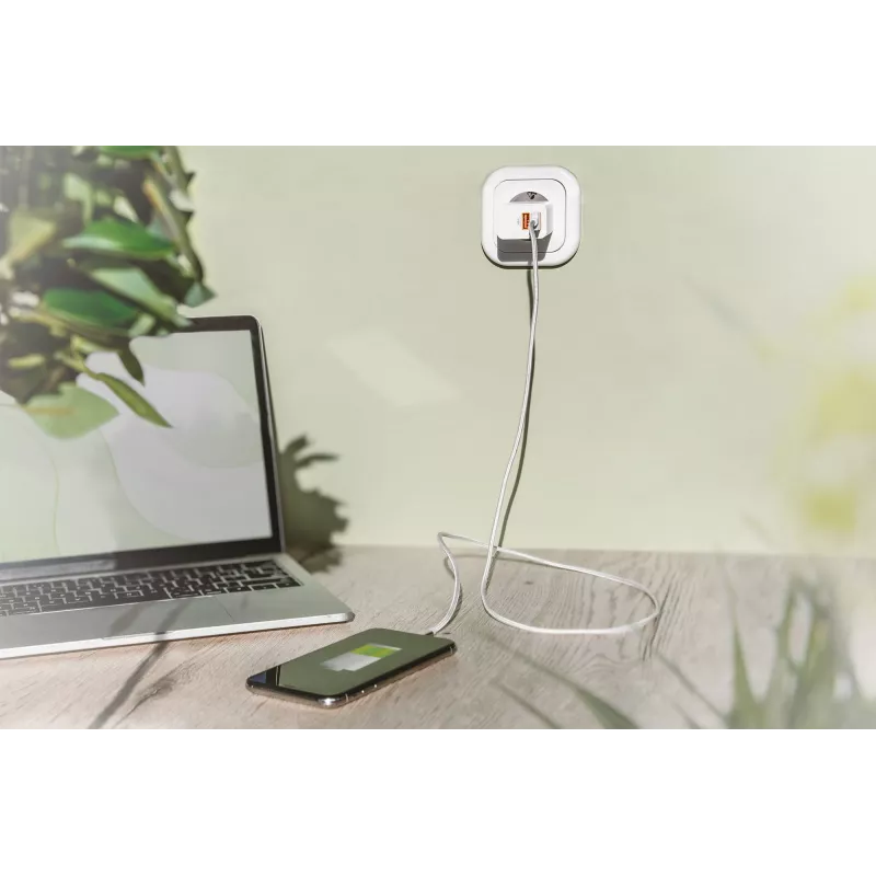 Cargador USB de interior Digitus DA-10061 2x USB-A 15,5W
