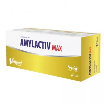 VetFood Amylactiv MAX apoyo digestivo para perros y gatos, 120 cápsulas