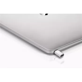 Wentronic Goobay Adaptador USB-C™ - Conector hembra USB 2.0 Micro-B, Plateado - para conectar un dispositivo USB-C™ con un cable USB 2.0 Micro-B (56636)