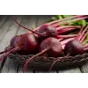 Semillas de hortalizas remolacha roja oscura Toraf, paquete de 20g