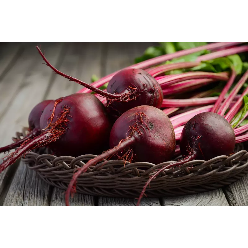 Semillas de hortalizas remolacha roja oscura Toraf, paquete de 20g