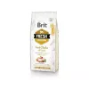 Brit Fresh Adult comida seca para perros 12 kg, pollo, manzana, trigo sarraceno, patata