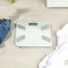 Báscula de análisis de vidrio Salter SA00601WCFEU12