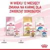 Royal Canin Feline Health Nutrition Kitten Instinctive en salsa comida húmeda para gatitos, 12 x 85 g