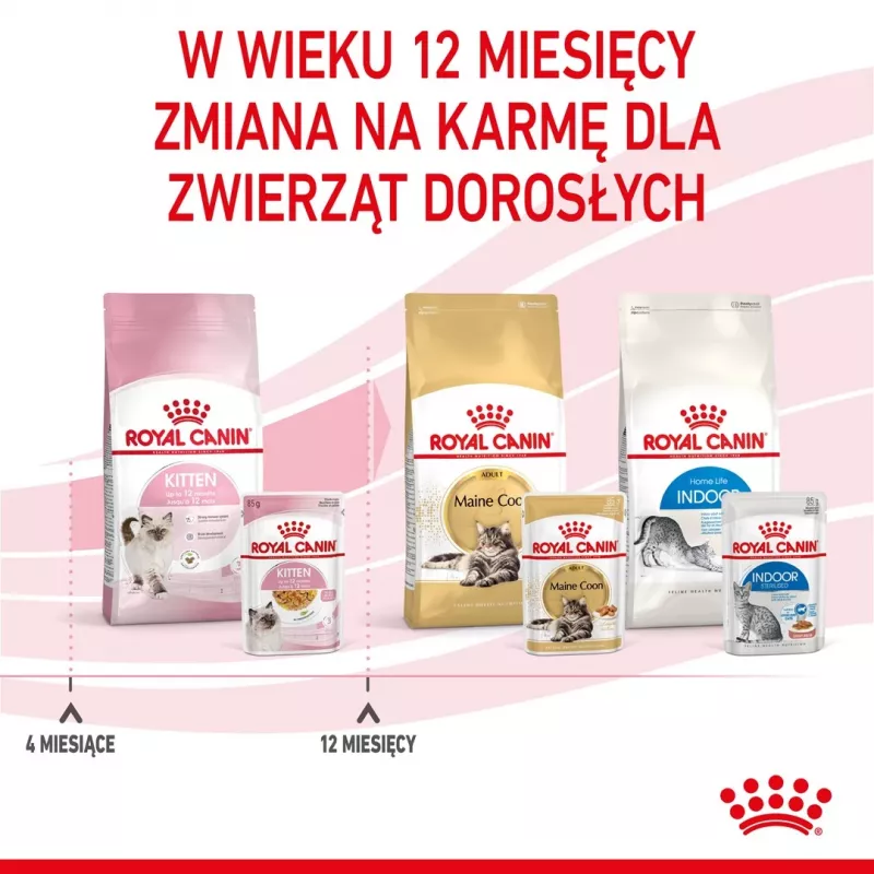 Royal Canin Feline Health Nutrition Kitten Instinctive en salsa comida húmeda para gatitos, 12 x 85 g