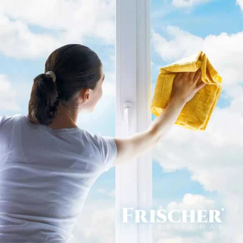 Limpiacristales FRISCHER FR00233_500 0,5 l con función antivaho