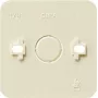 GIRA 008113 Placa mural/tapa de interruptor beige (008113)