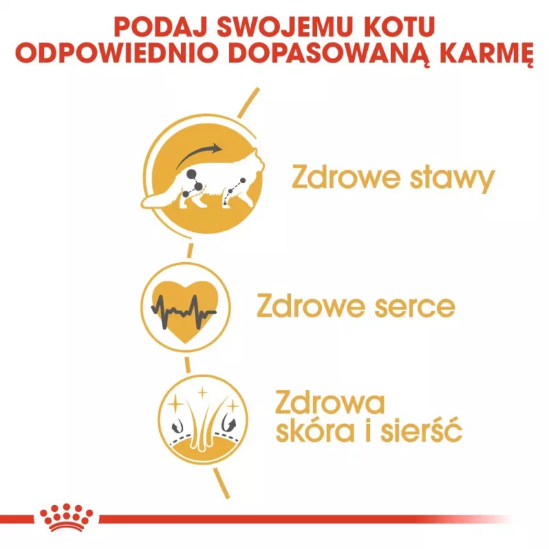 Royal Canin FBN Maine Coon Adult pienso seco para gatos, 10 kg