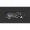 Teclado Logickeyboard ASTRA 2 USB AZERTY English negro (LKB-RESB-A2M-FR)