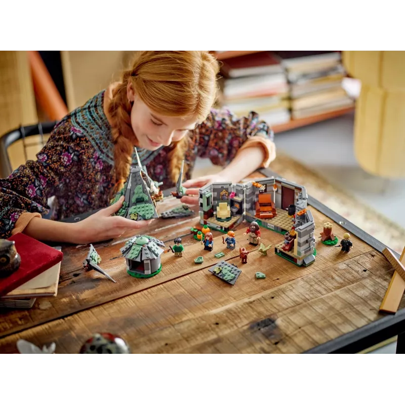 LEGO HARRY POTTER 76428 La cabaña de Hagrid – Una visita inesperada
